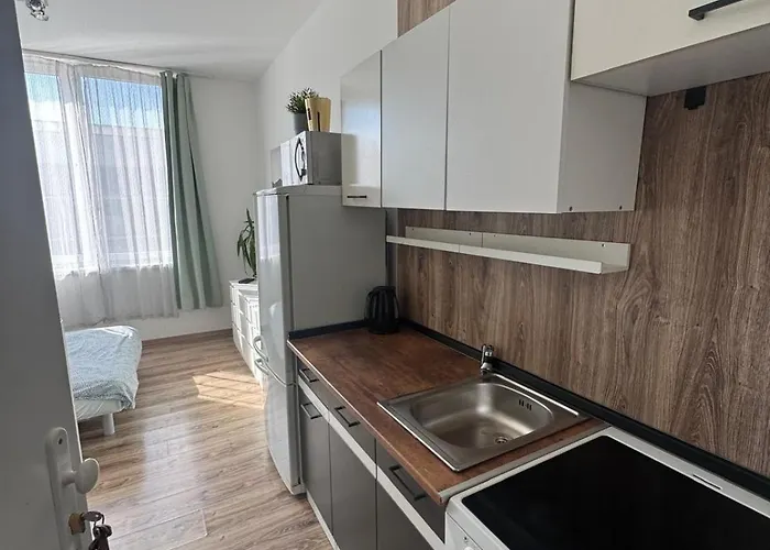 Rovao Apartment, 1-2 Guests, Free Parking & Wifi, 30min From Downtown Rovinka